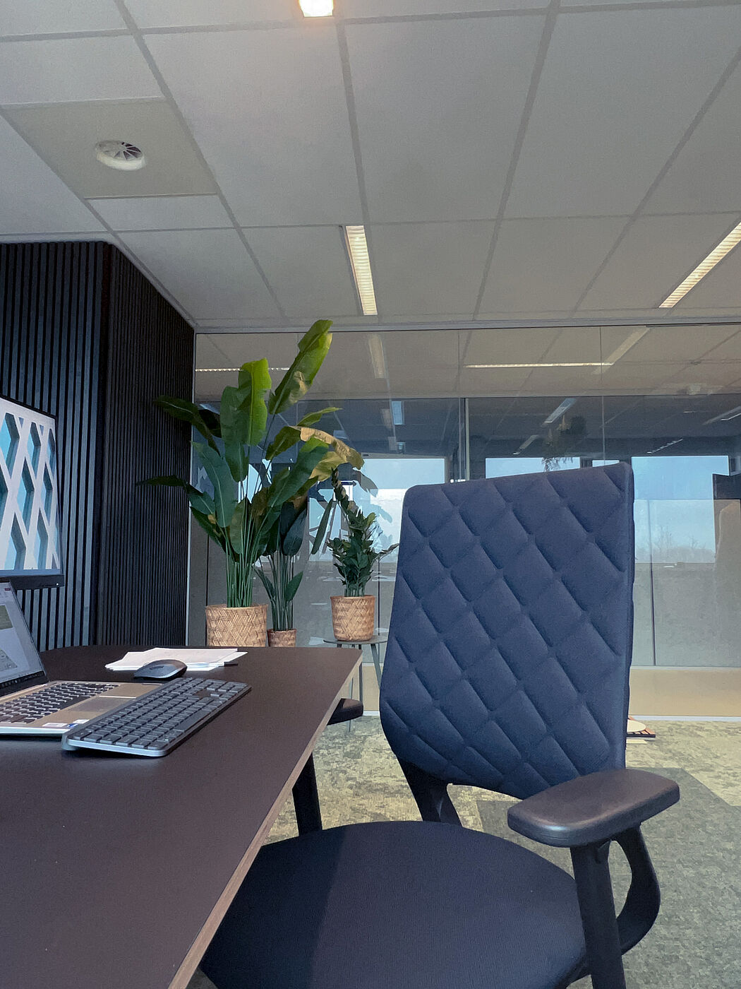 Klöber Mera Diamond Steppung in Detailansicht im Office von First Lines